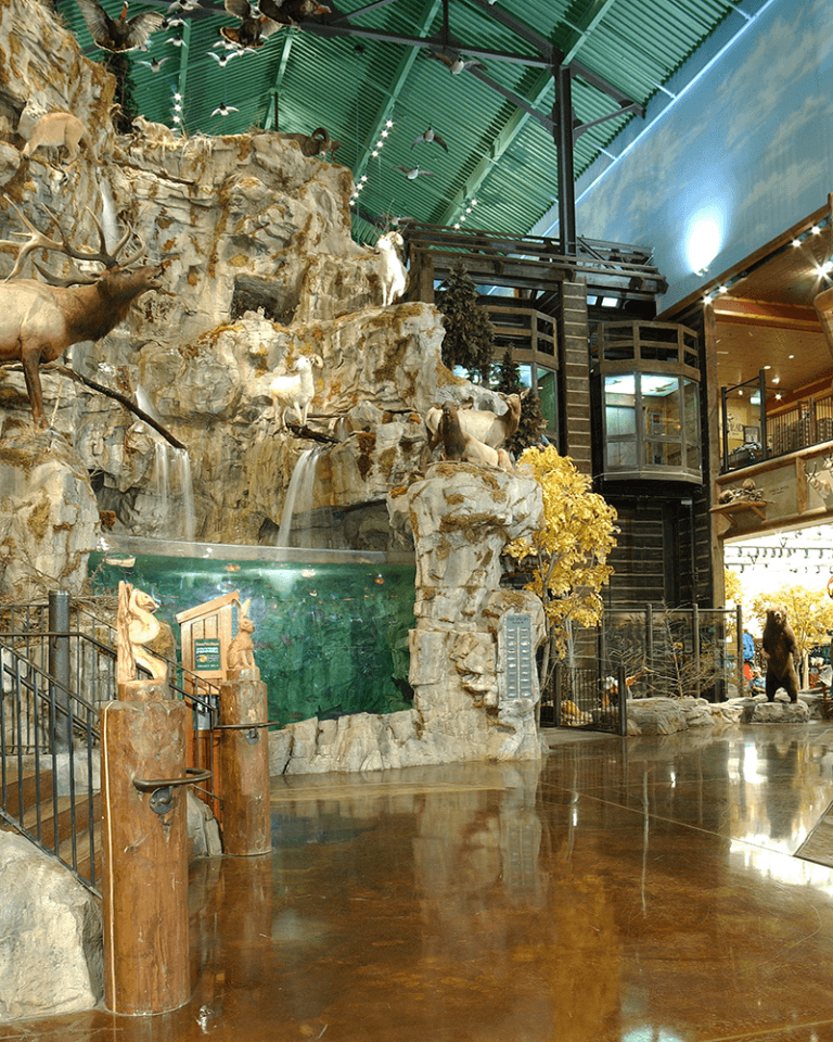 MHA | Bass Pro Shops Outdoor World Olathe Kansas